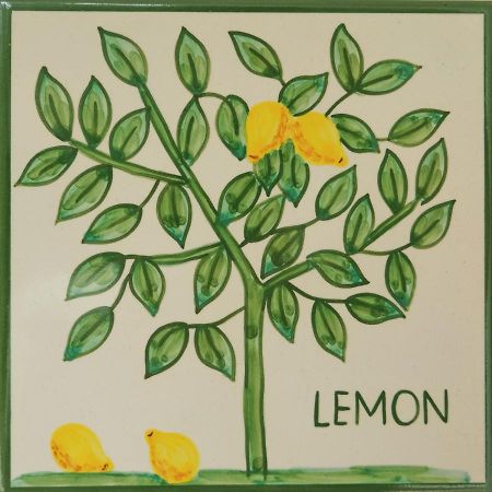 Casa Monte Cristo Apartments - Lemon Lagos Zewnętrze zdjęcie
