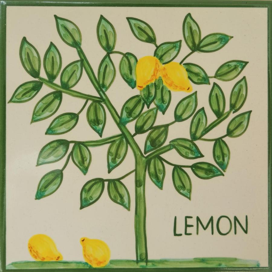 Casa Monte Cristo Apartments - Lemon Lagos Zewnętrze zdjęcie